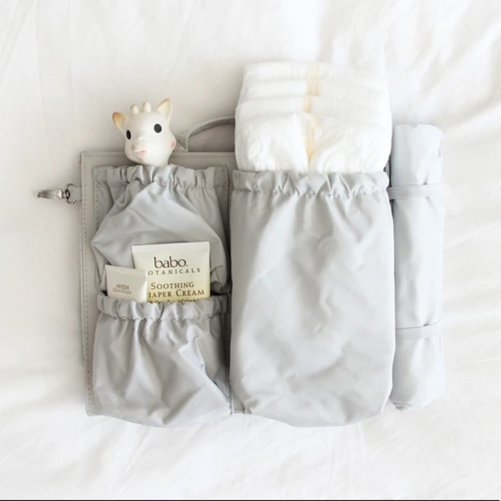 Mini Tote Savvy Bag Organizer